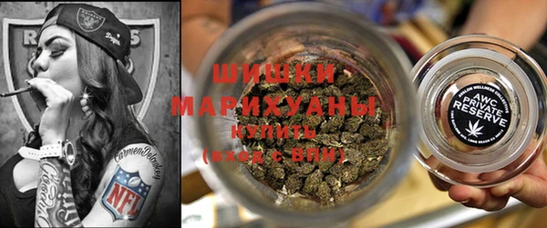 бошки Няндома