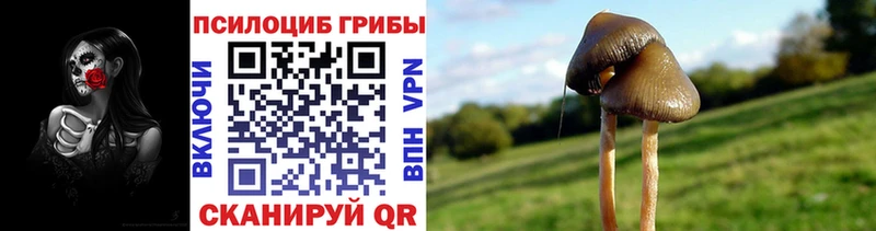 Псилоцибиновые грибы мухоморы  Купить  Сосновка 